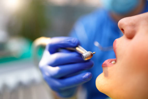 Professional Holistic Dental Care Services in Quitman, TX
